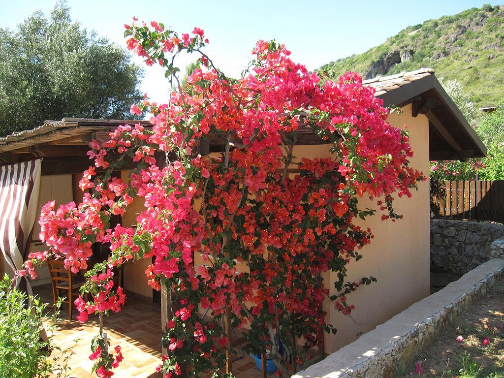 Family Resort Cala Di Luna Марина ди Камерота Екстериор снимка