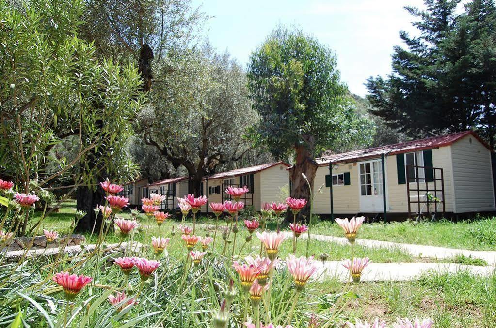 Family Resort Cala Di Luna Марина ди Камерота Екстериор снимка